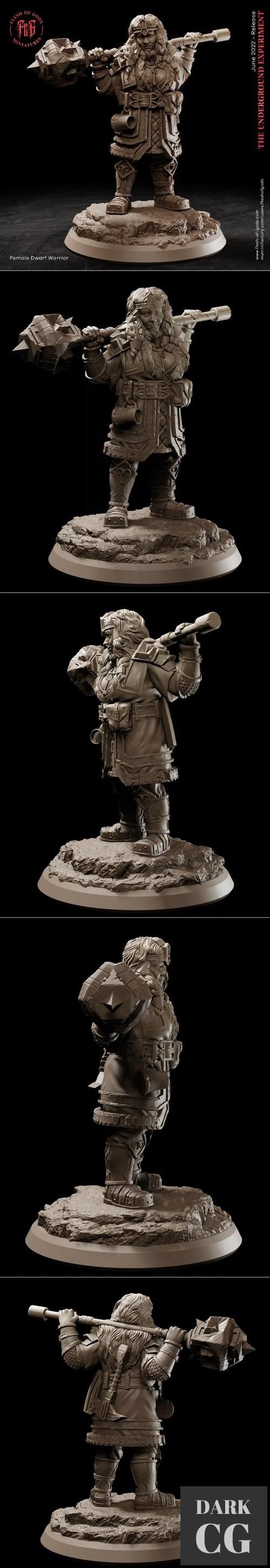 Hero Female Dwarf – 3D Print