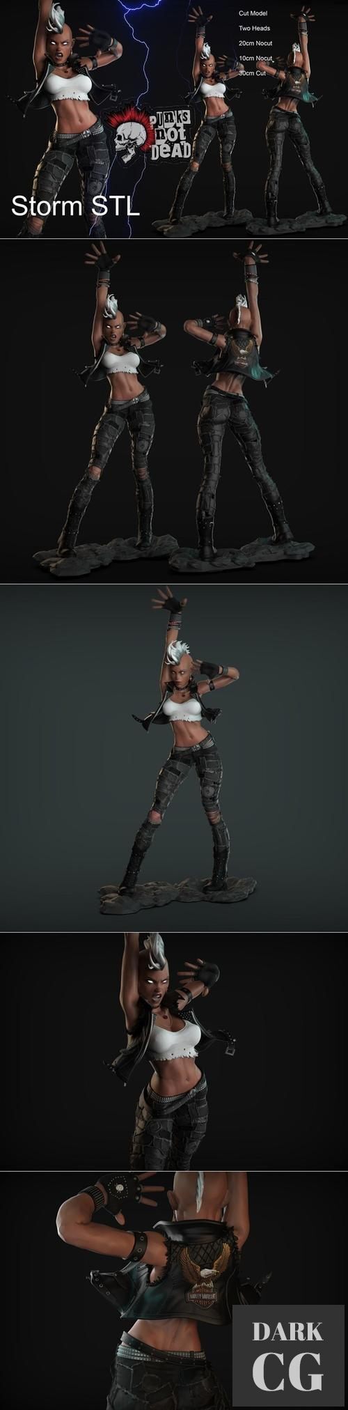 Storm Iroquoise Punk – 3D Print