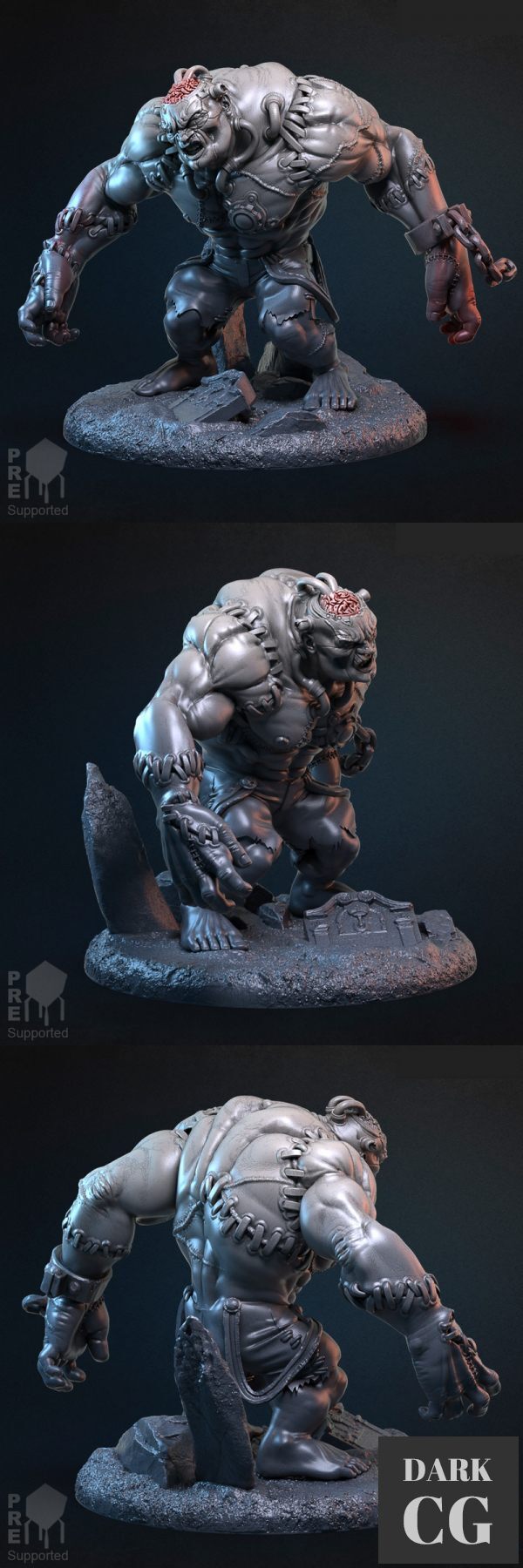 3D Model Ibin Franj Flesh Golem 3D Print
