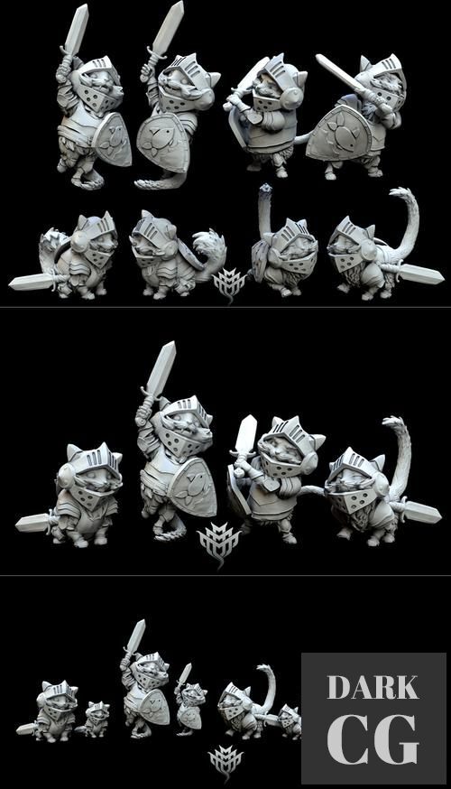 3D Model Pointy Eared Mercenary 3D Print