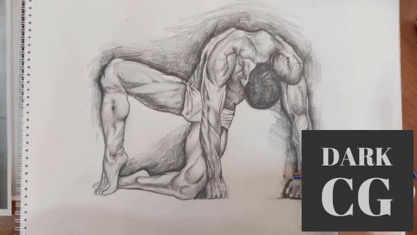 Udemy Figure Drawing Course From Beginner to Advanced