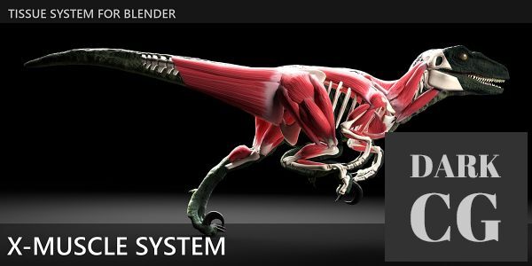 Blender Market – X-Muscle System 3.0
