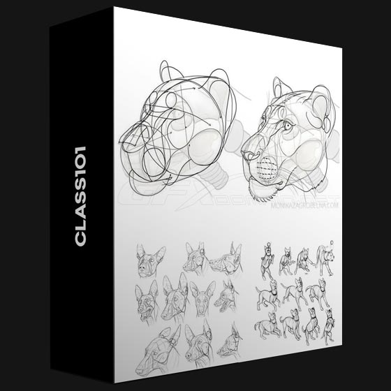 Class101 Learn Animal Anatomy to Draw Realistic Animals from Imagination By Monika