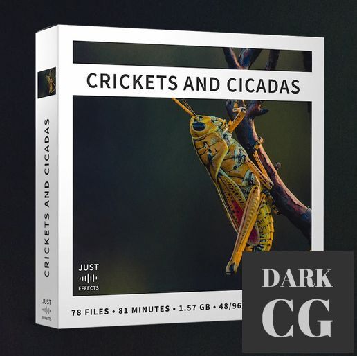 Just Sound Effects Crickets and Cicadas