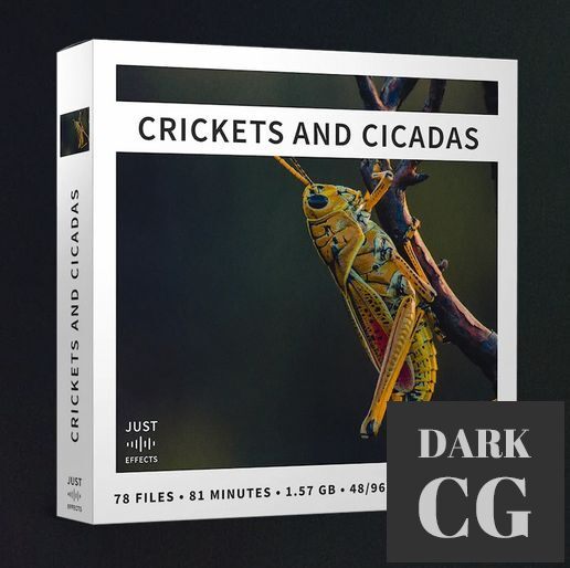 Just Sound Effects – Crickets and Cicadas