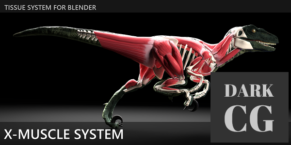 Blender Market – X-Muscle System 3.0 XL