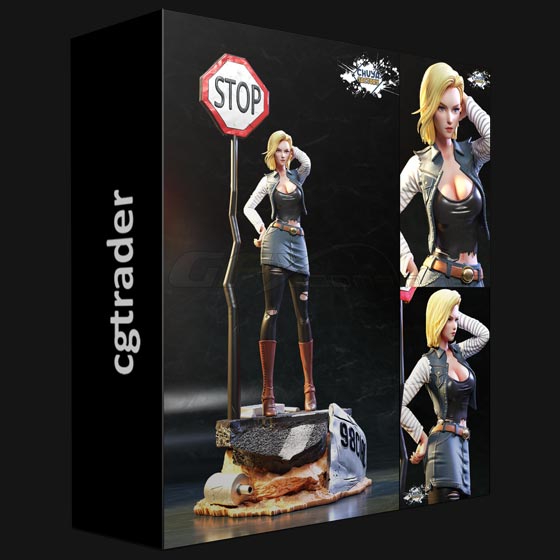 Cgtrader Android 18 3D print model