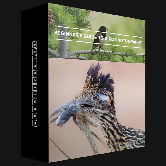 CreativeLIVE BEGINNER S GUIDE TO BIRD PHOTOGRAPHY By Ben Knoot